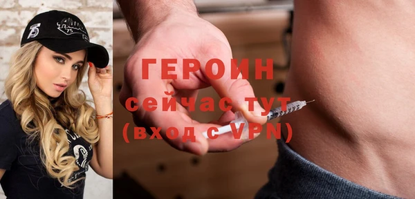 гидра Арсеньев