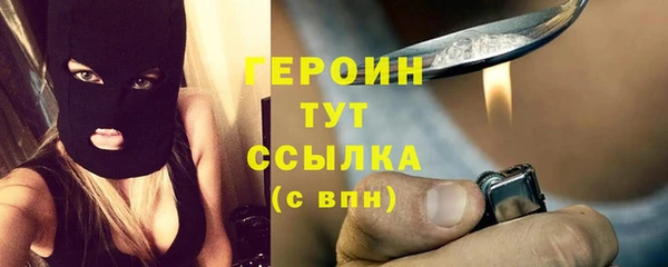 гидра Арсеньев