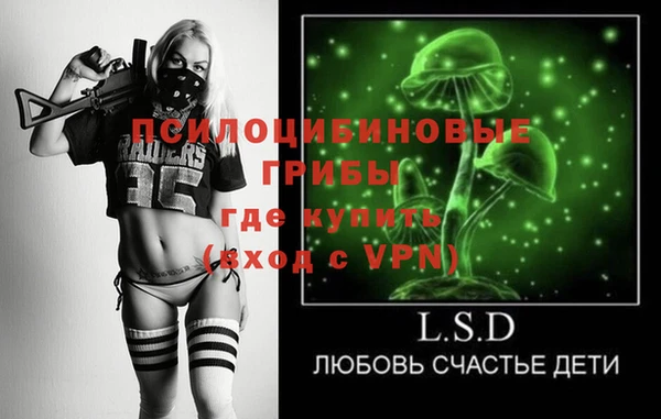 гидра Арсеньев