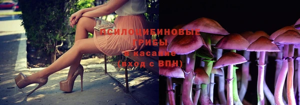 трава Армянск