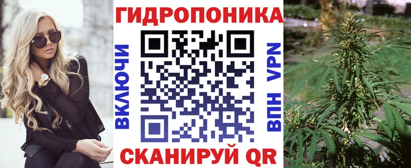 Купить закладки  Дедовск  Конопля Amnesia 